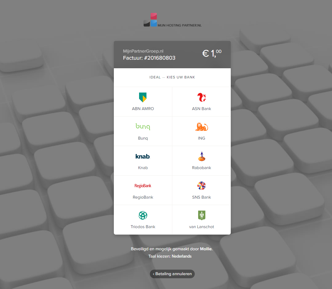 hoe betaal ik een webhosting factuur mijnhostingpartner.nl 5