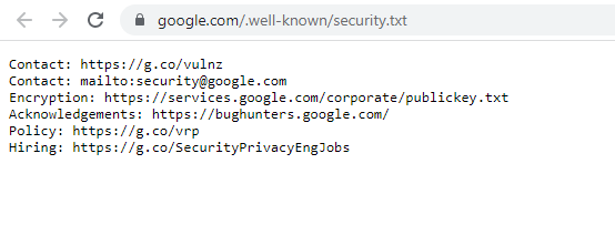 Wat is een security txt bestand