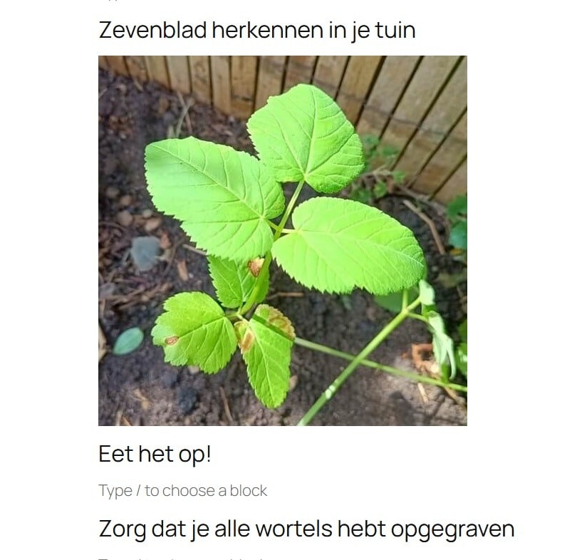 Afbeeldingen en meer toevoegen in WordPress
