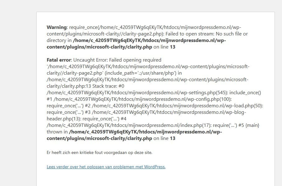 Er heeft zich een kritieke fout voorgedaan op deze site – Oplossen binnen WordPress