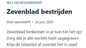 Datum van je gepubliceerde posts in WordPress