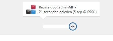 Revisies binnen WordPress