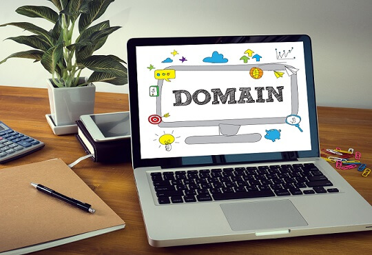Nearly 1 million new NL domain names in 2020