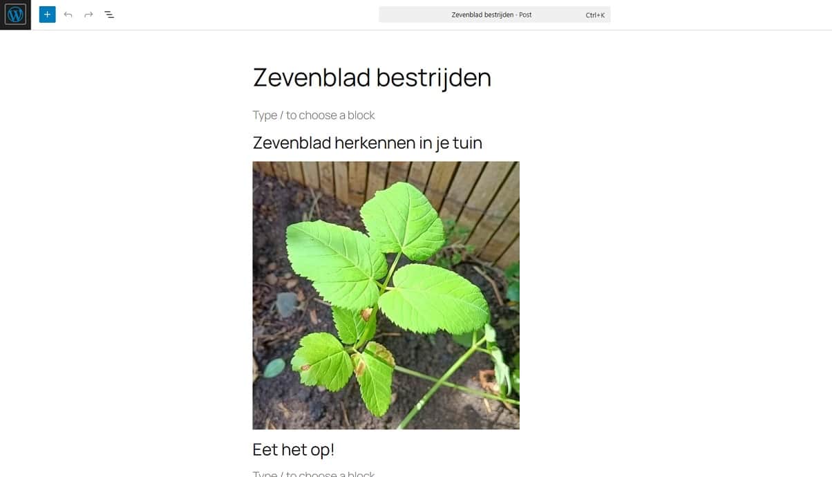 Afbeeldingen en meer toevoegen in WordPress