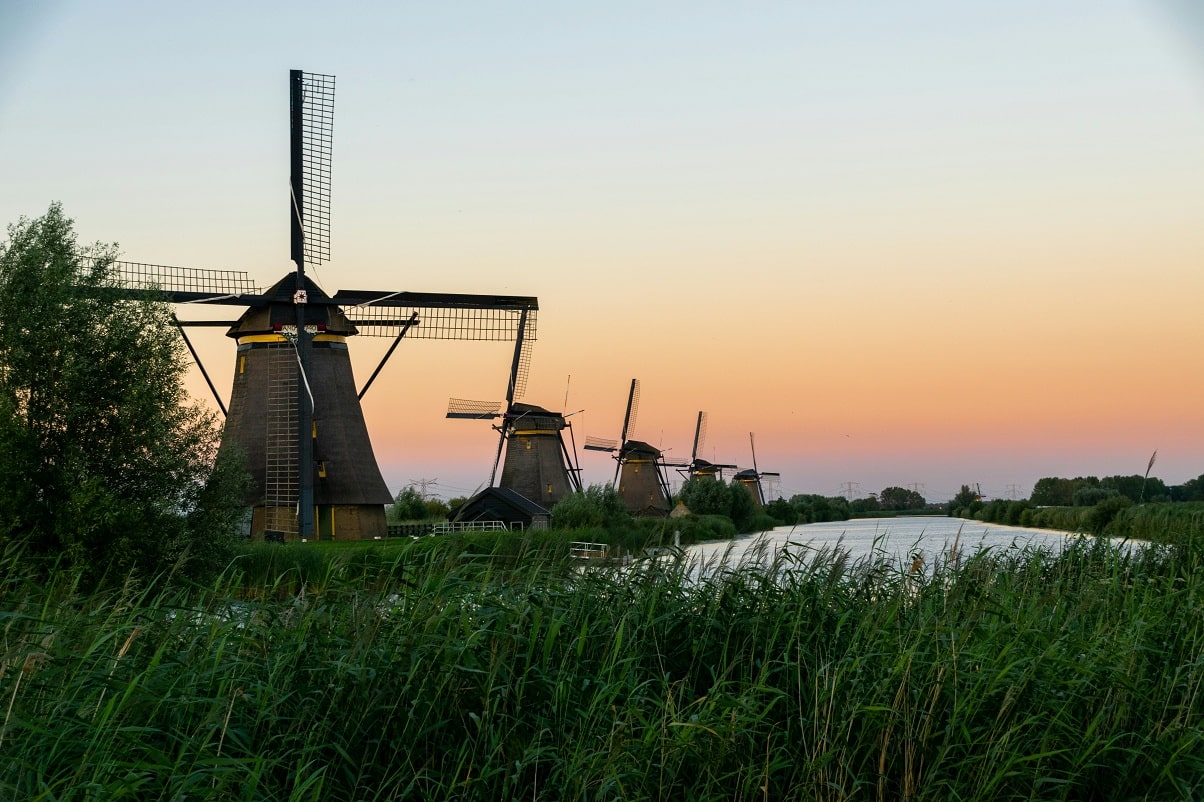 NL domeinnaam reeds bezet?