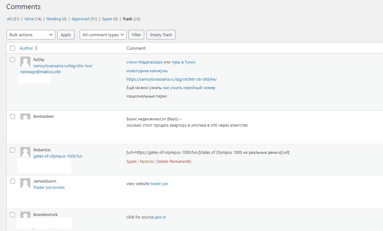 WordPress SPAM comments