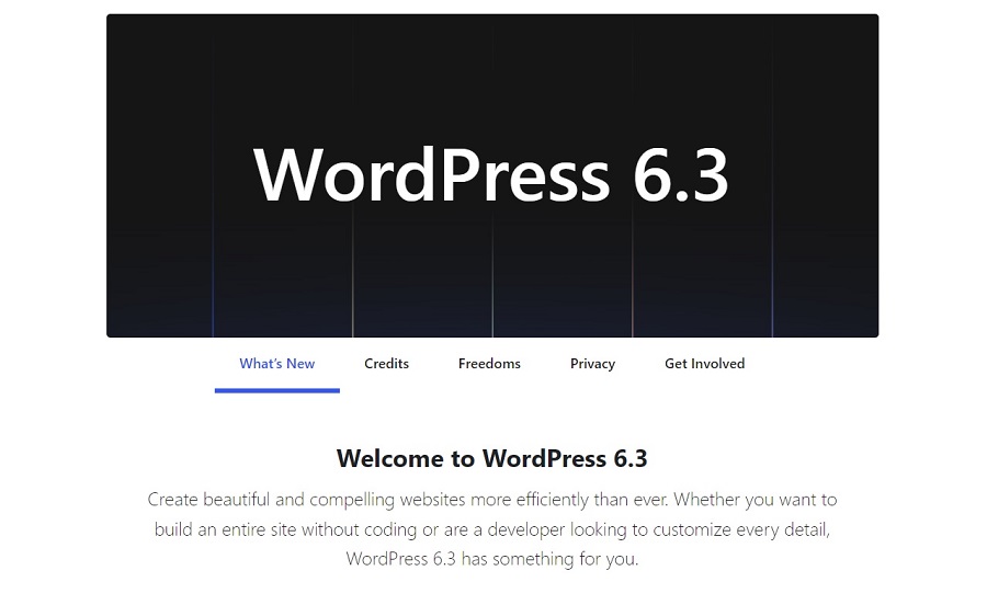 WordPress Update 6 3