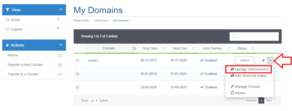 Where can I change my NS records?