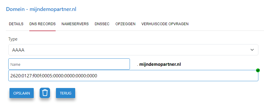 DNS redirection to Shopify