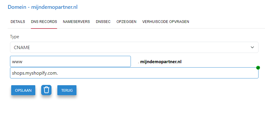 DNS doorverwijzen naar Shopify