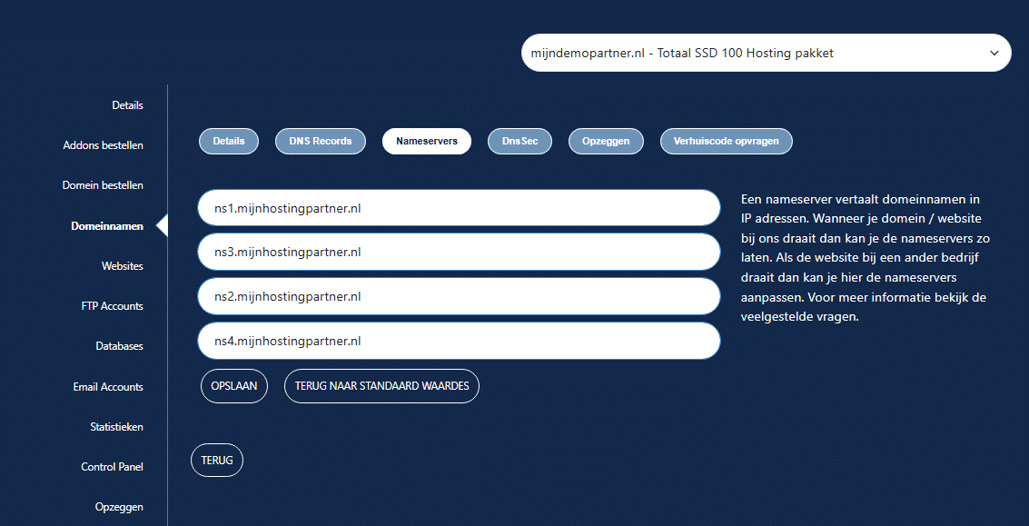 Waar kan ik mijn NS records wijzigen?