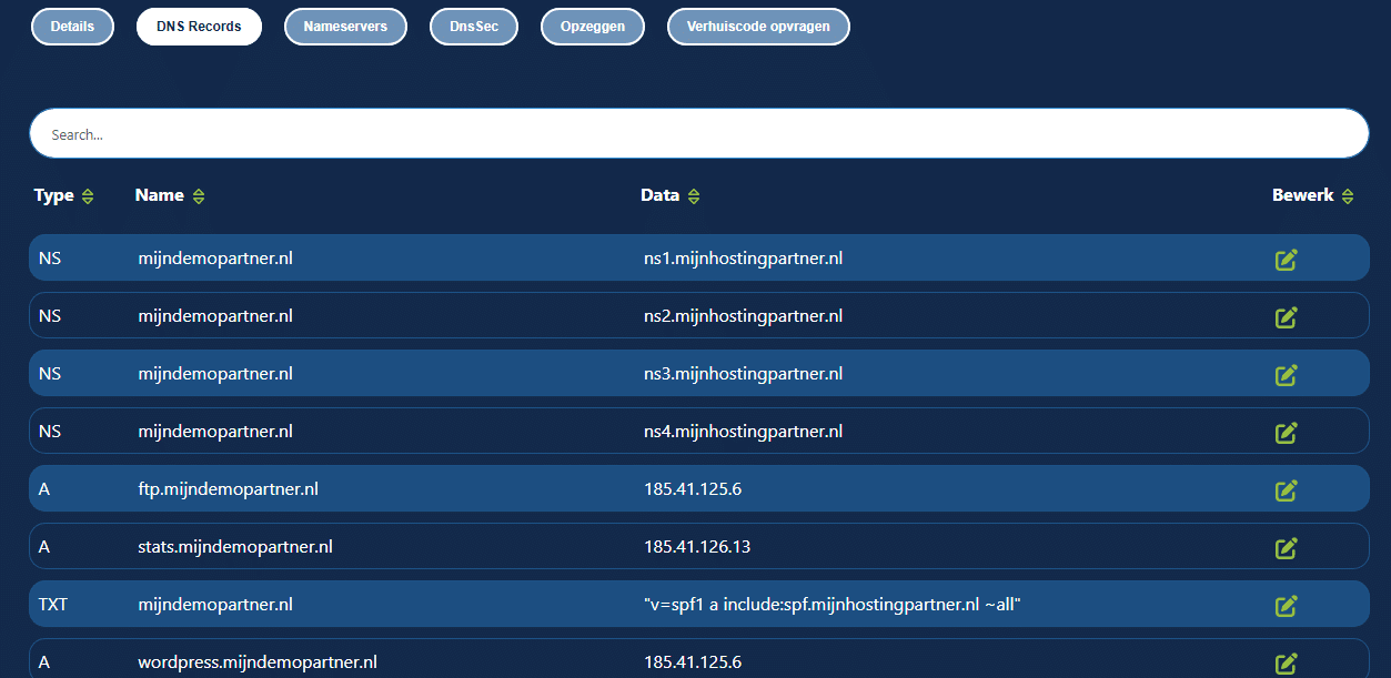 Wat zijn mijn DNS-records?