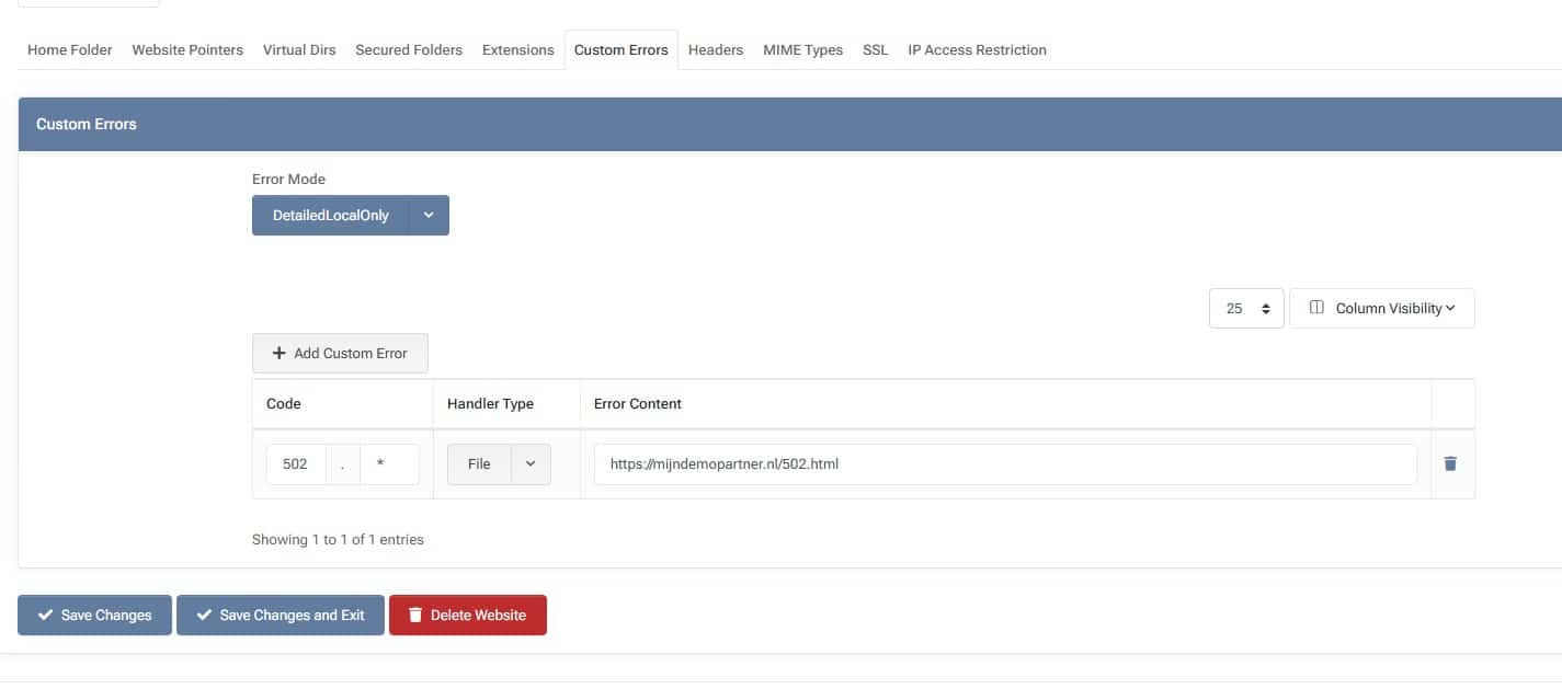 Custom error pagina's