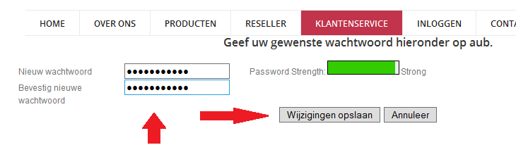 Hoe kan ik mijn klantenpanel wachtwoord resetten?
