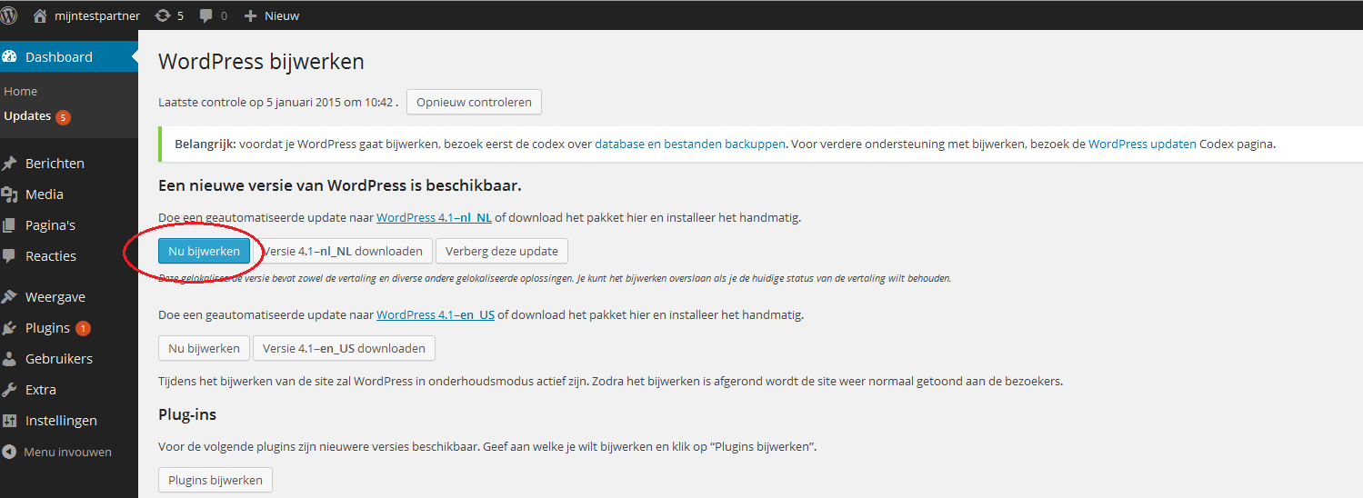 Updating WordPress