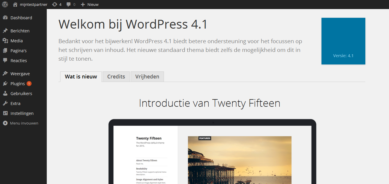 Updating WordPress